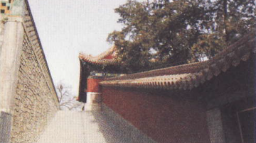 图片 6.png